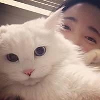 qq男生头像帅气冷酷动漫:附加条件:如确有缘份