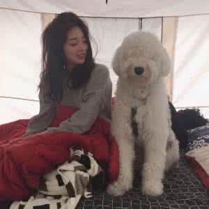 qq头像女生和狗狗:世间本无沙漠
