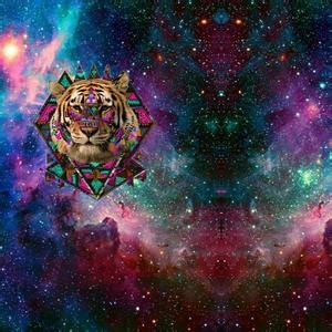qq头像女生星空原素风带字:玫瑰只想送你