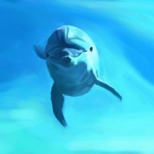 qq头像海豚:有你开心省心